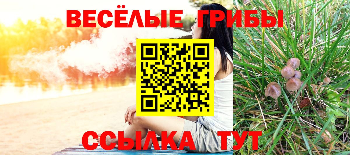 Галлюциногенные грибы Psilocybe  Галлюциногенные грибы GOLDEN TEACHER  Вход с VPN  Лесосибирск 
