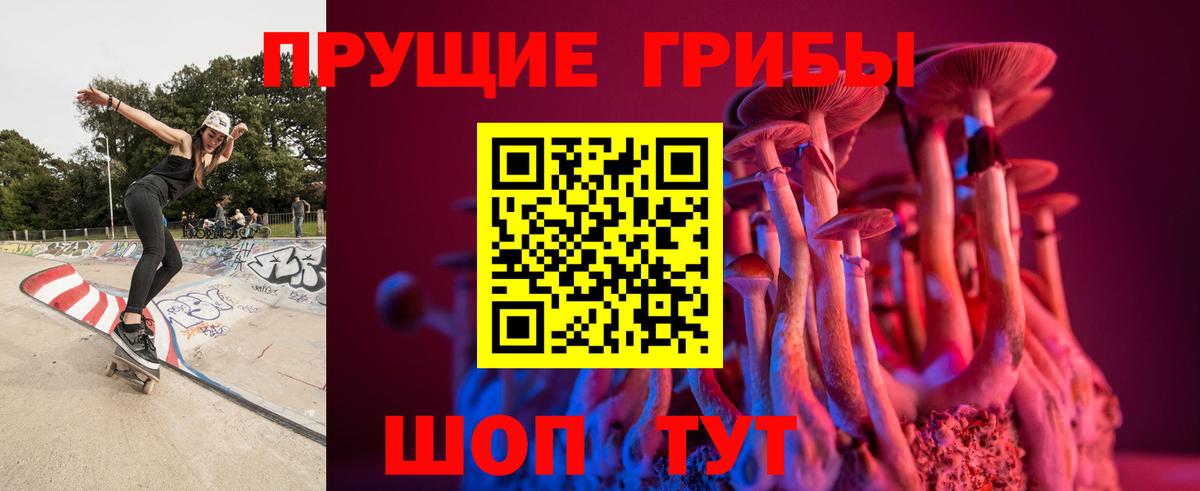 Галлюциногенные грибы Magic Shrooms Лесосибирск